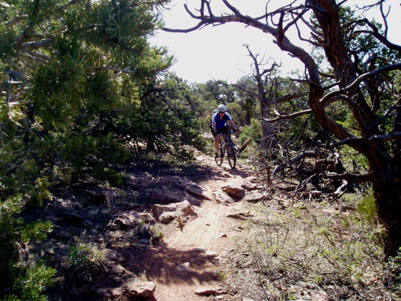 Copy of P4120029.jpg